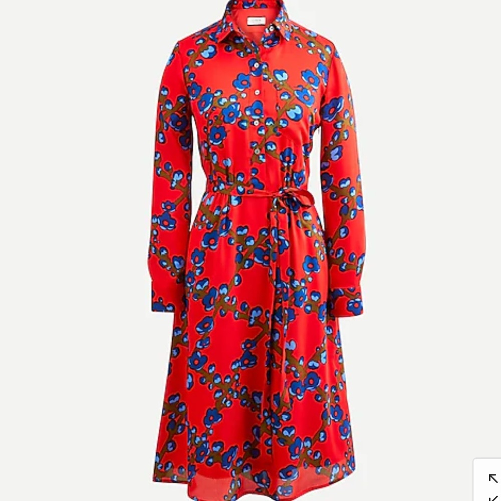 J.Crew Dress